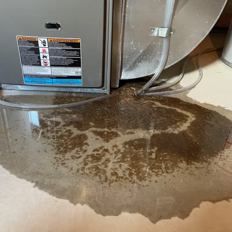 Appliance Leak Cleanup in Bethel, NC